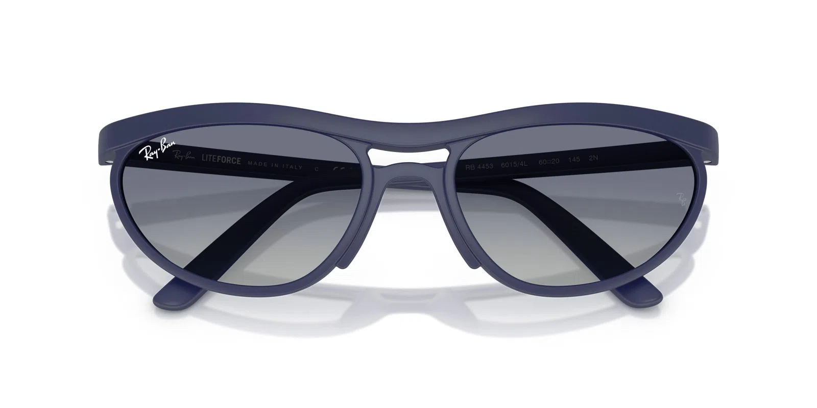 Ray-Ban 4453 Sunglasses - view 35